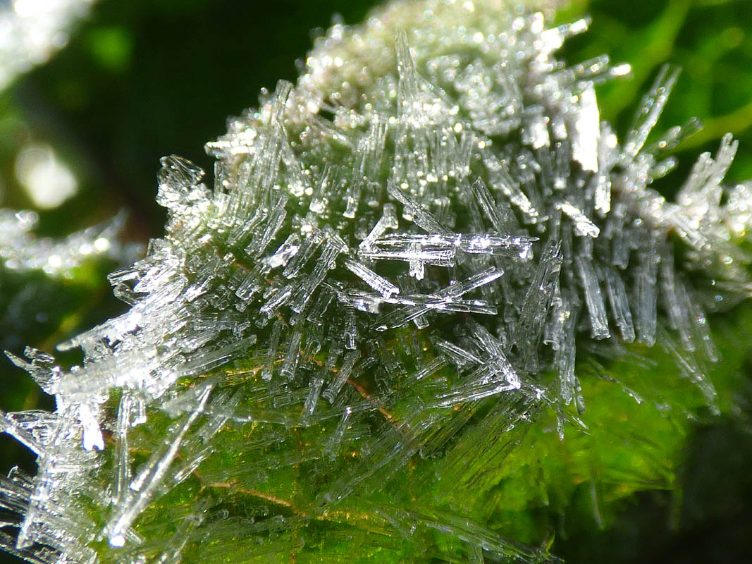 Vert de Cristal